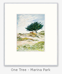 one tree sarah kalvin